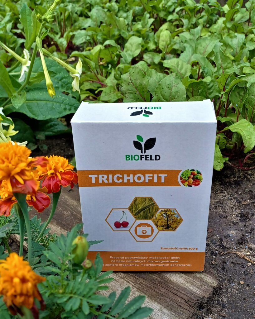 Enzim Biofeld