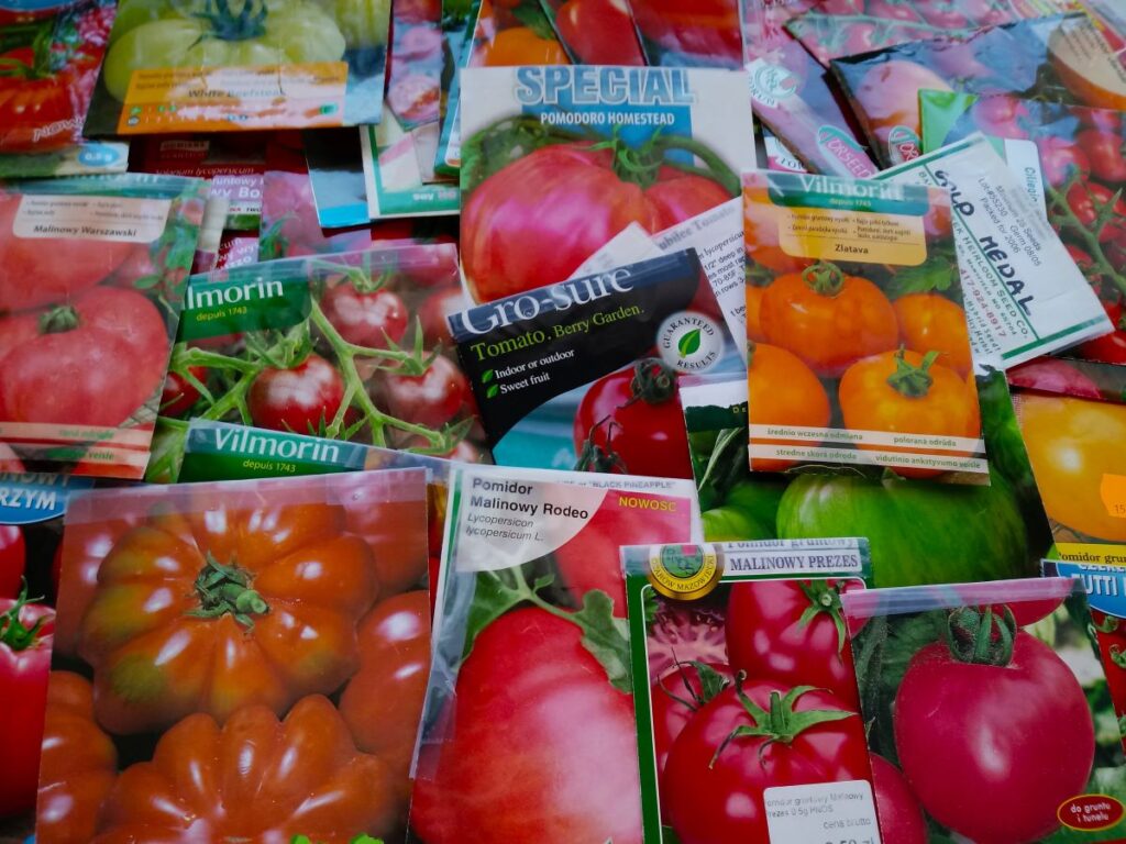 Ogrody Zacisza nasiona pomidorów