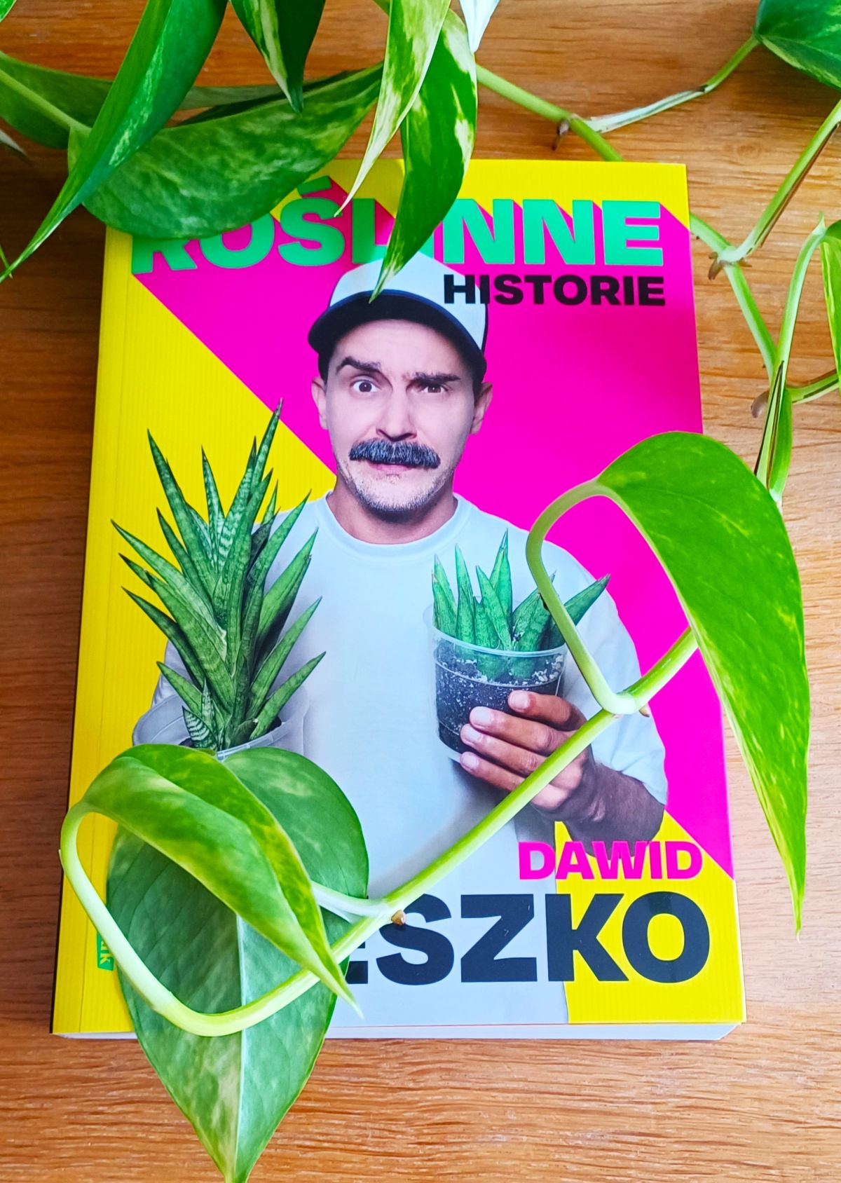 Ogrody Zacisza