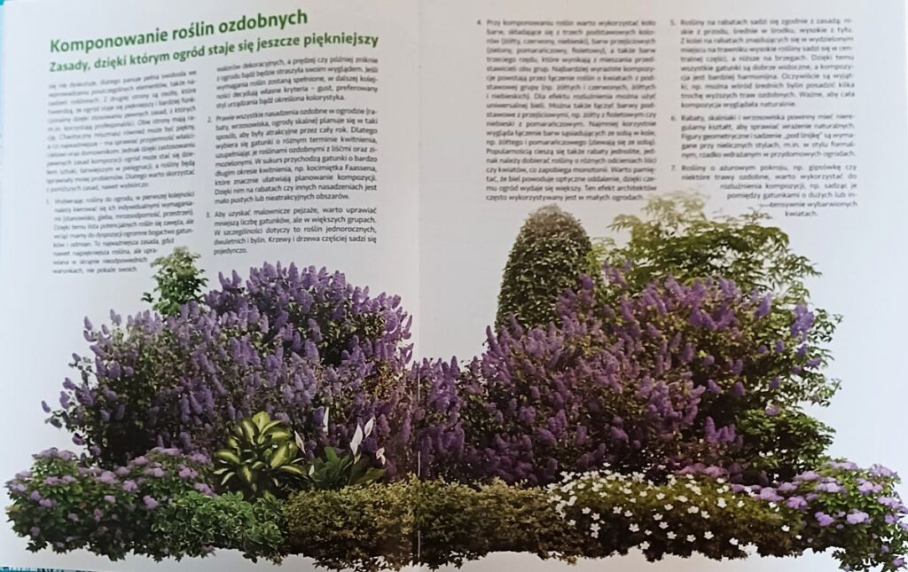 Kompozycja z roślin ozdobnych