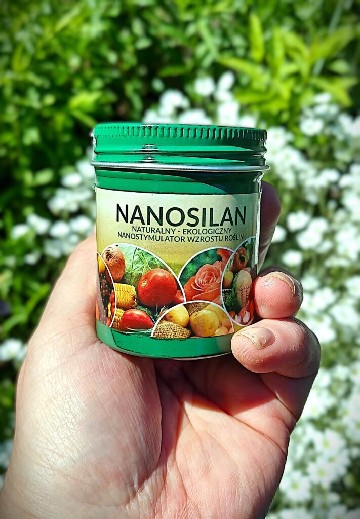 Nanosilan