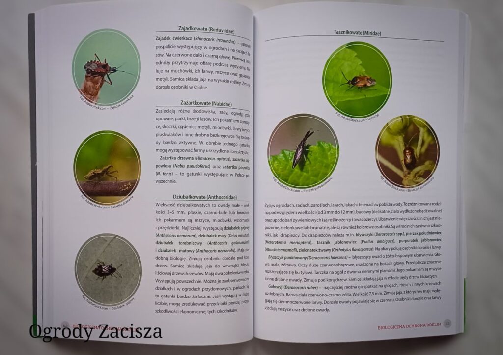 Biologiczna ochrona roślin