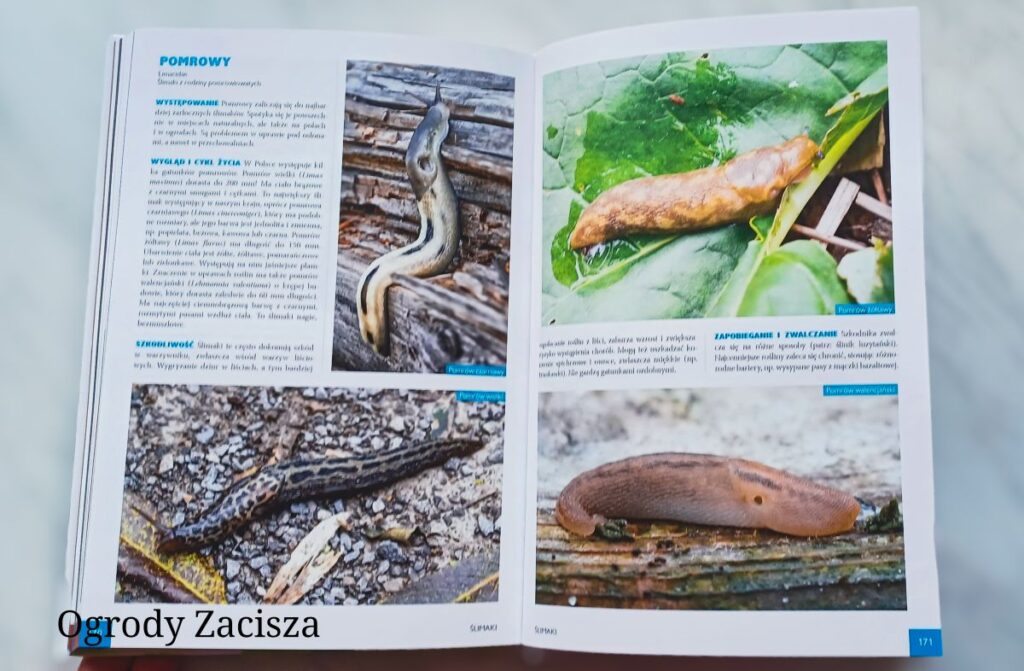 Atlas szkodników ogrodowych