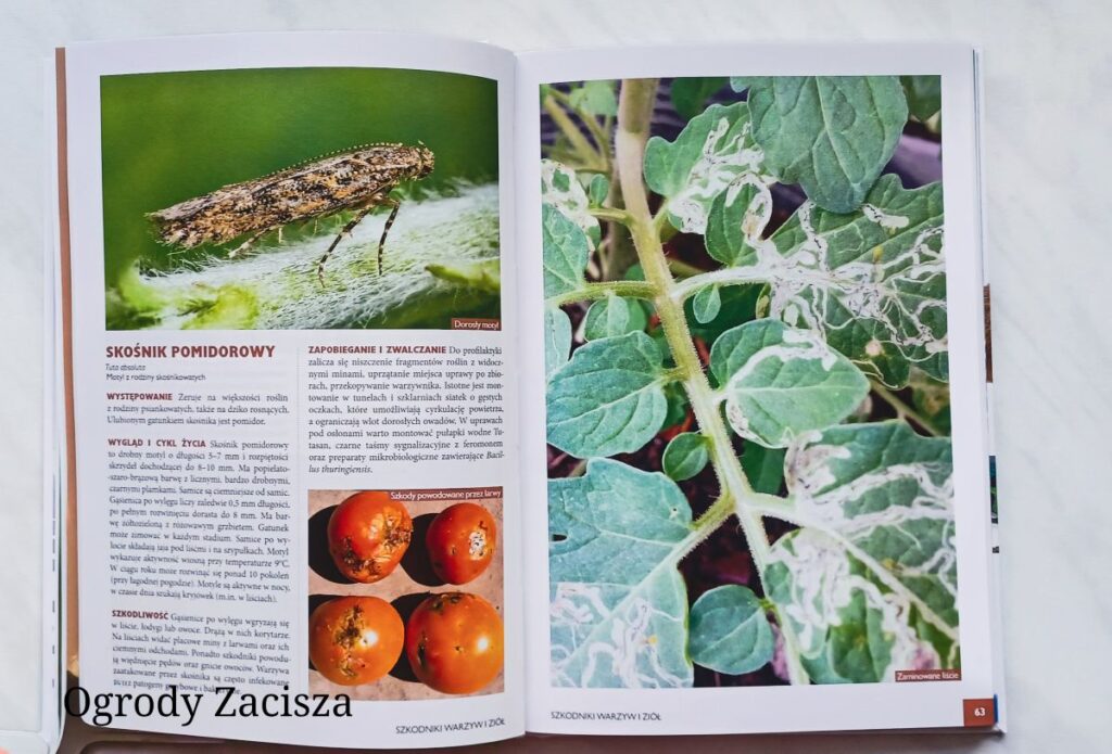 Ogrody Zacisza
