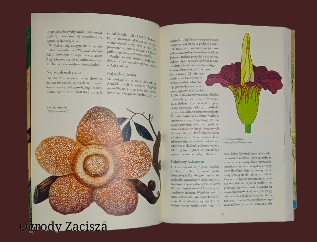 Tajemnicze życie roślin