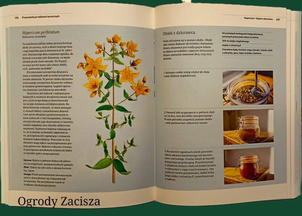Przewodnik po roślinach leczniczych