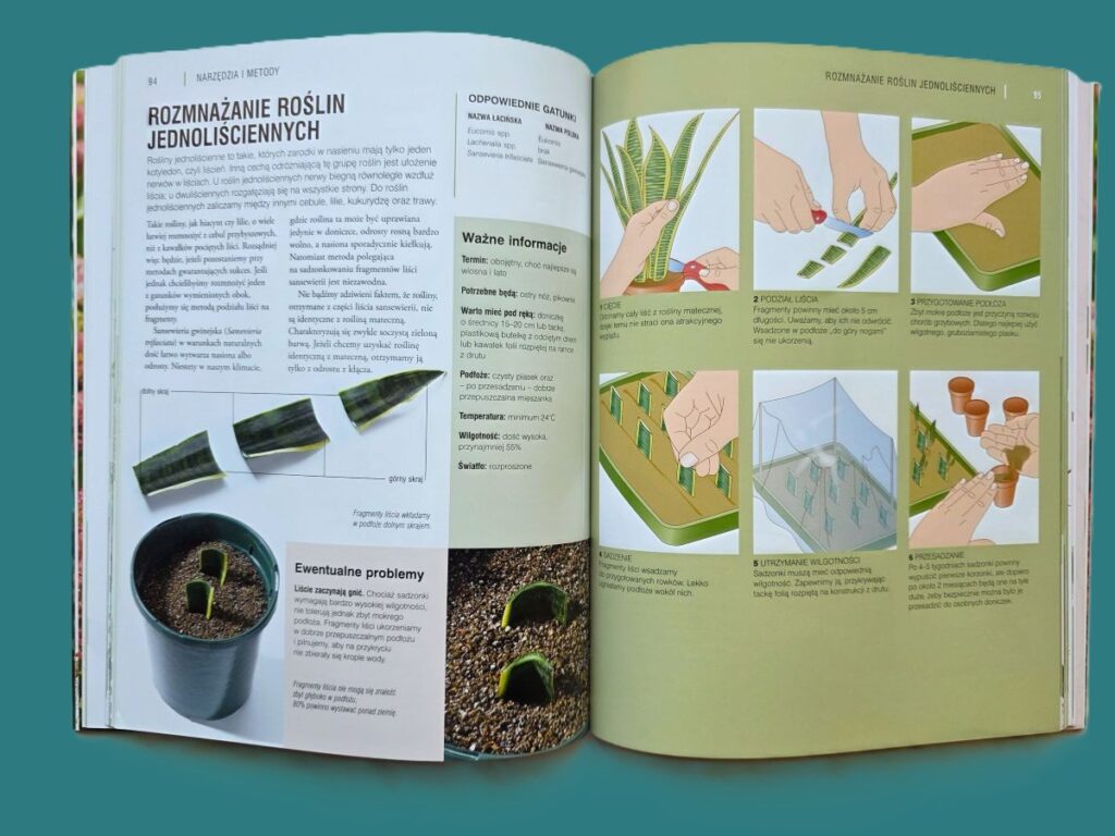 Rozmnażanie roślin