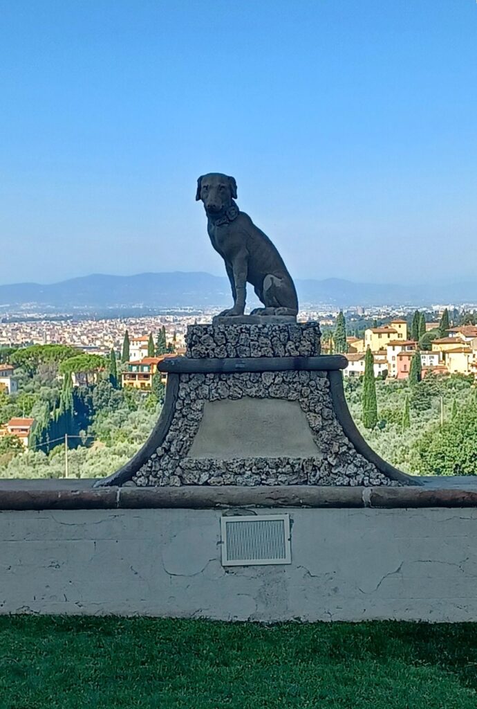 Panorama Florencji